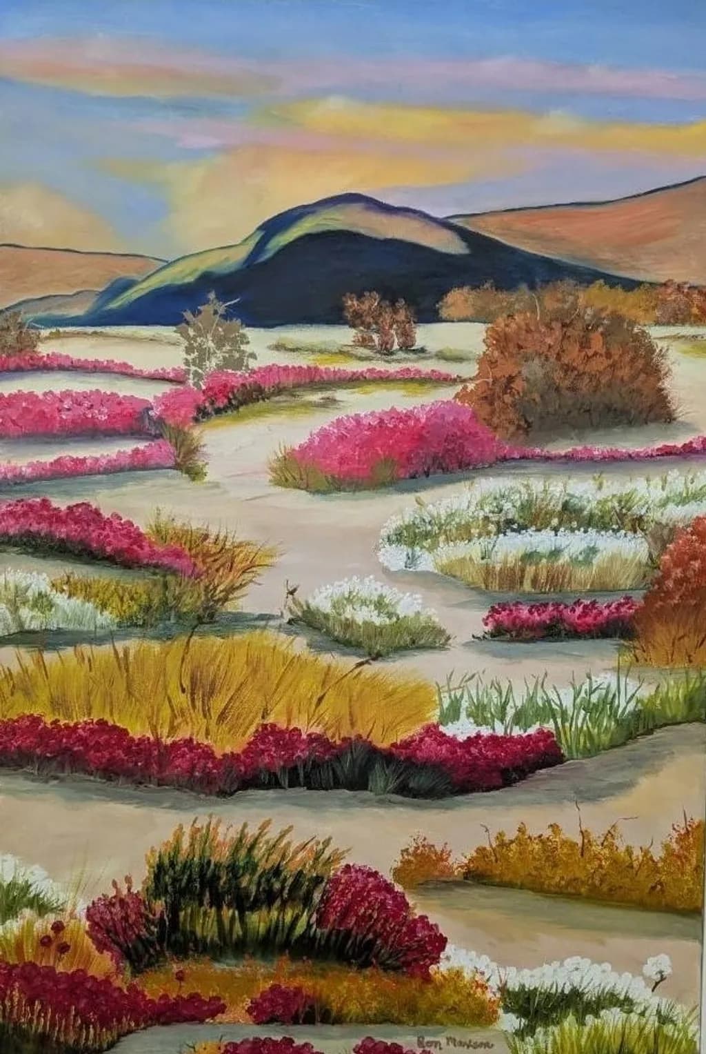 Desert In Bloom
