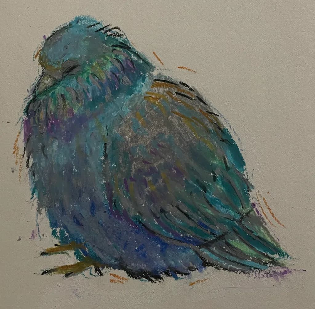 Puffed Bluebird