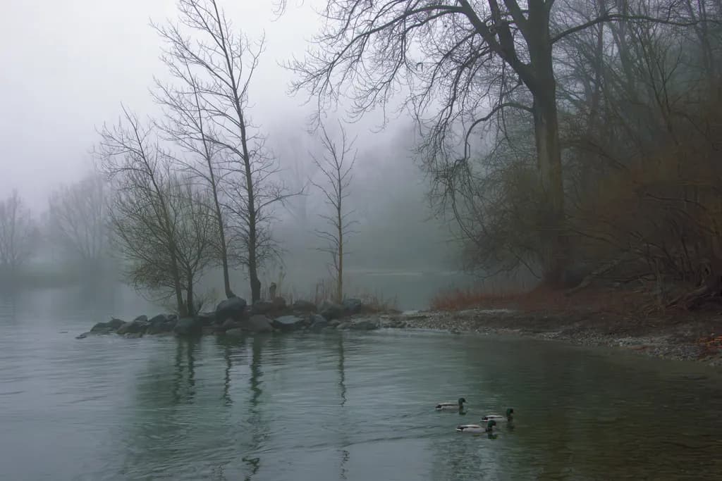 May Mist