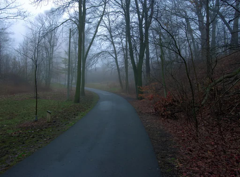 Fall Veil Pathway