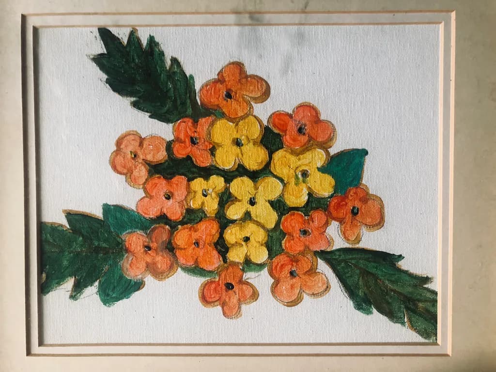 Lantana Blooms