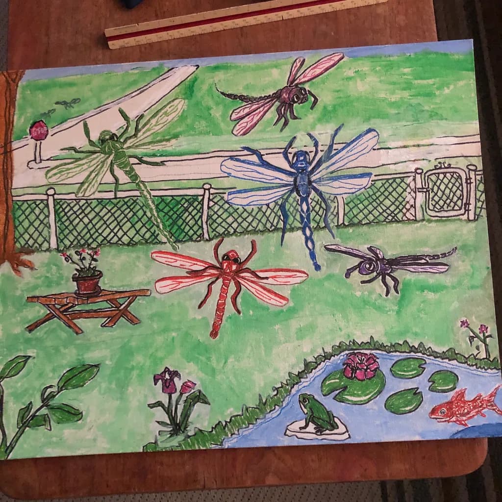 Dragonfly Garden