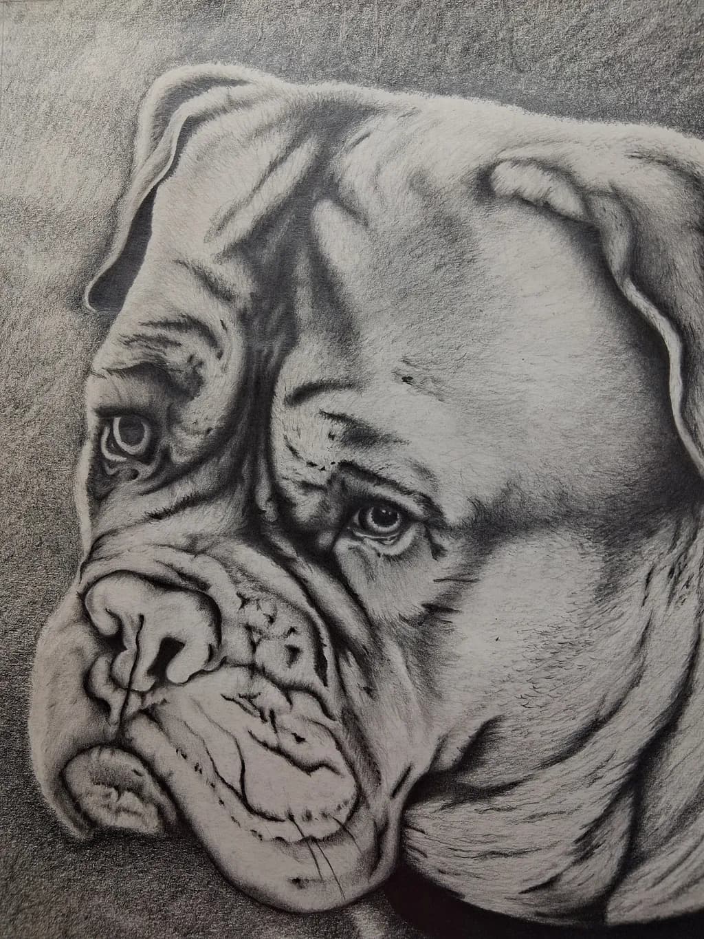 Pensive Boxer