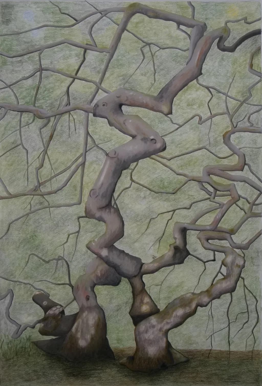 Twisted Branches