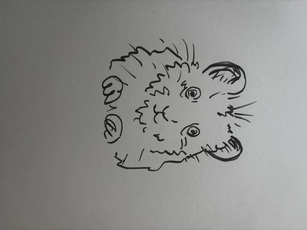 Curious Critter
