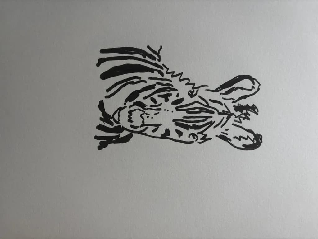 Zebra Ink Sketch