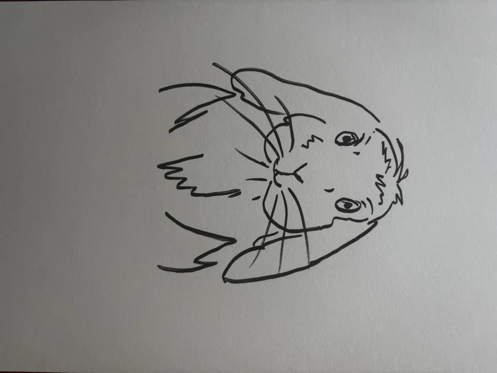 Curious Hare