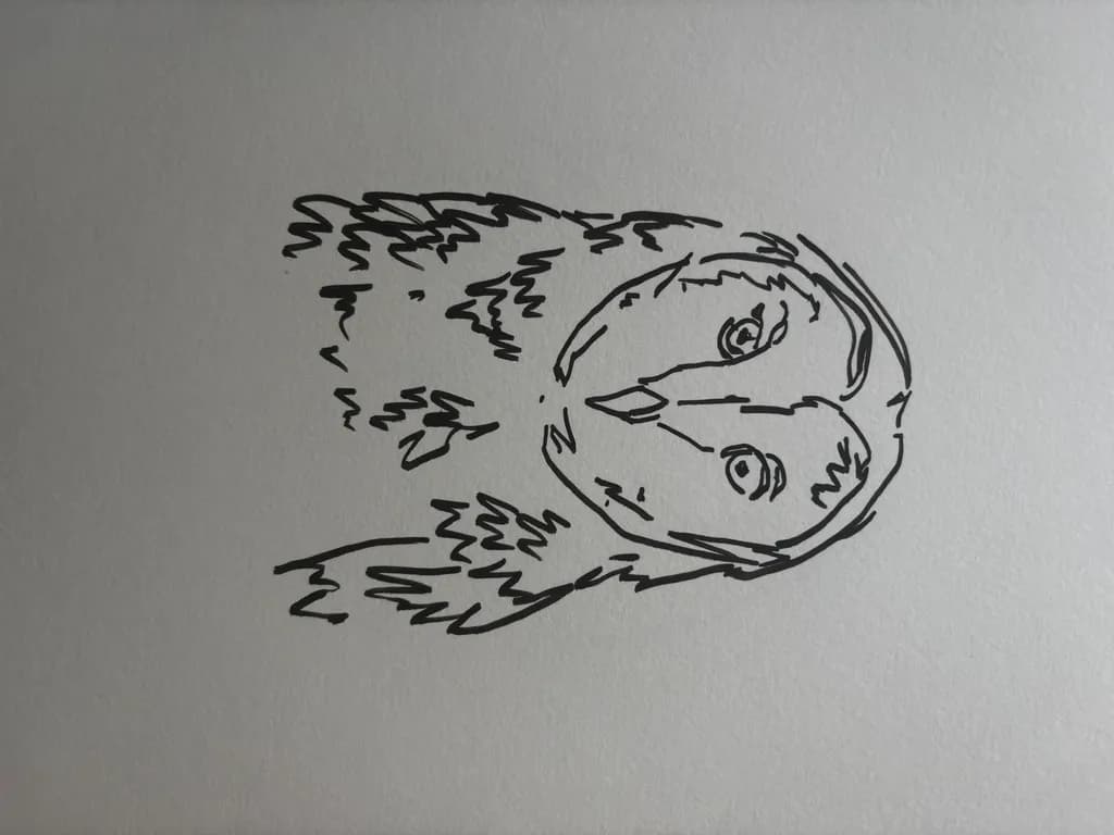 Linework Owl