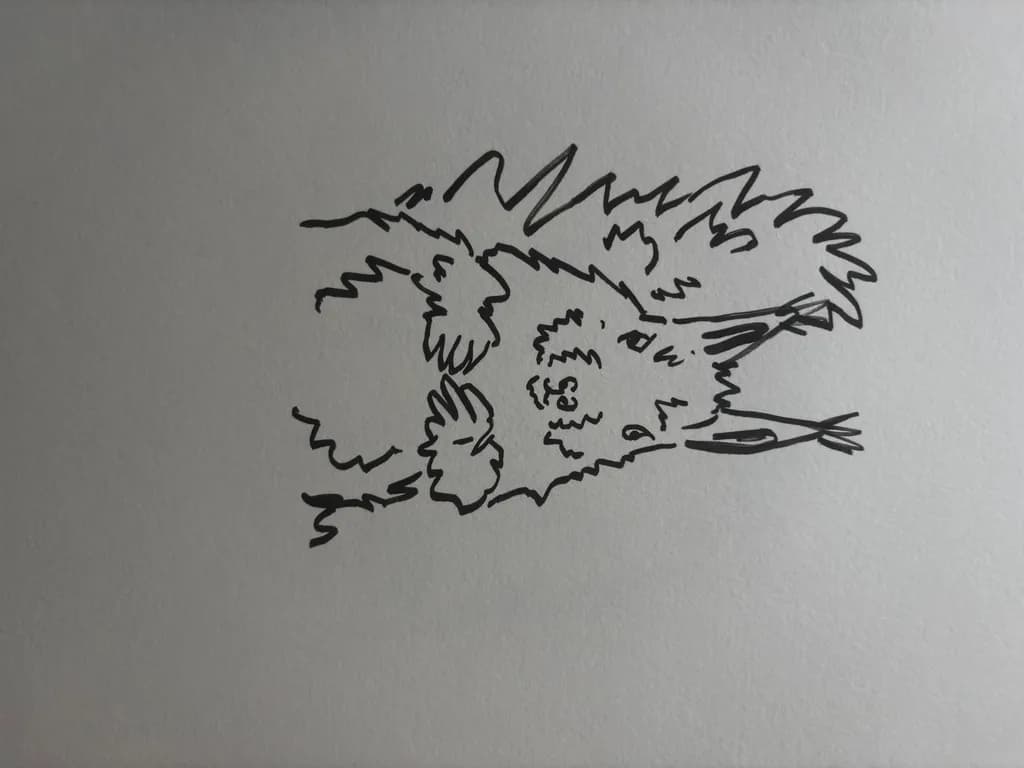 Curious Critter