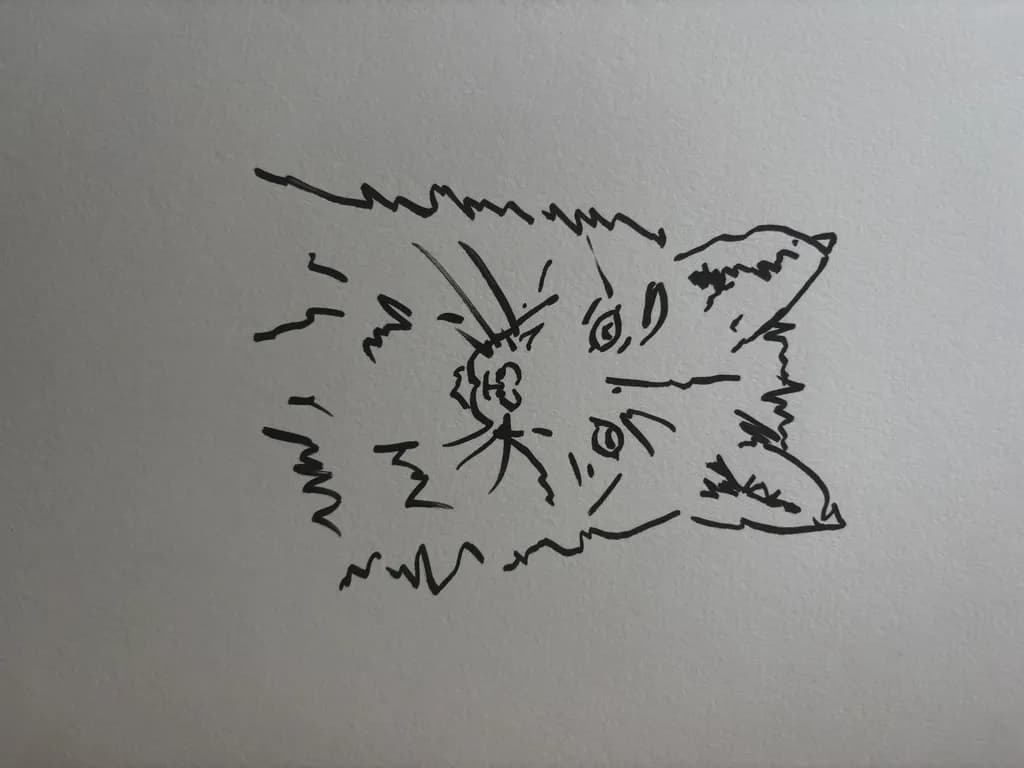 Curious Outline