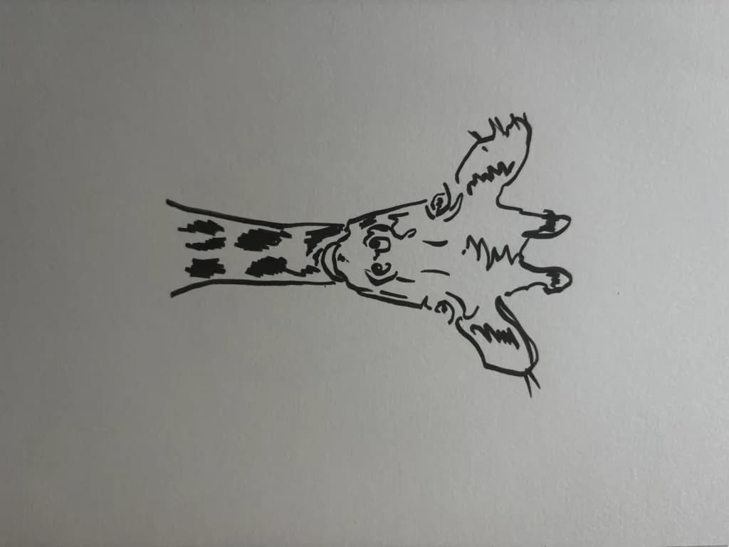 Gentle Giraffe