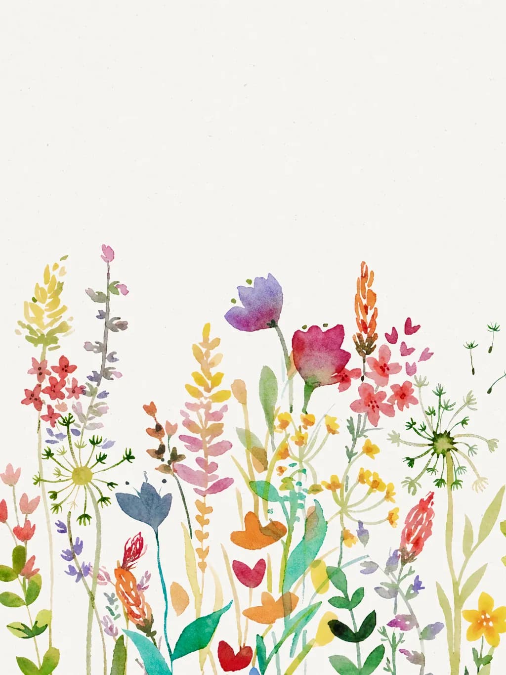 Wildflower Medley