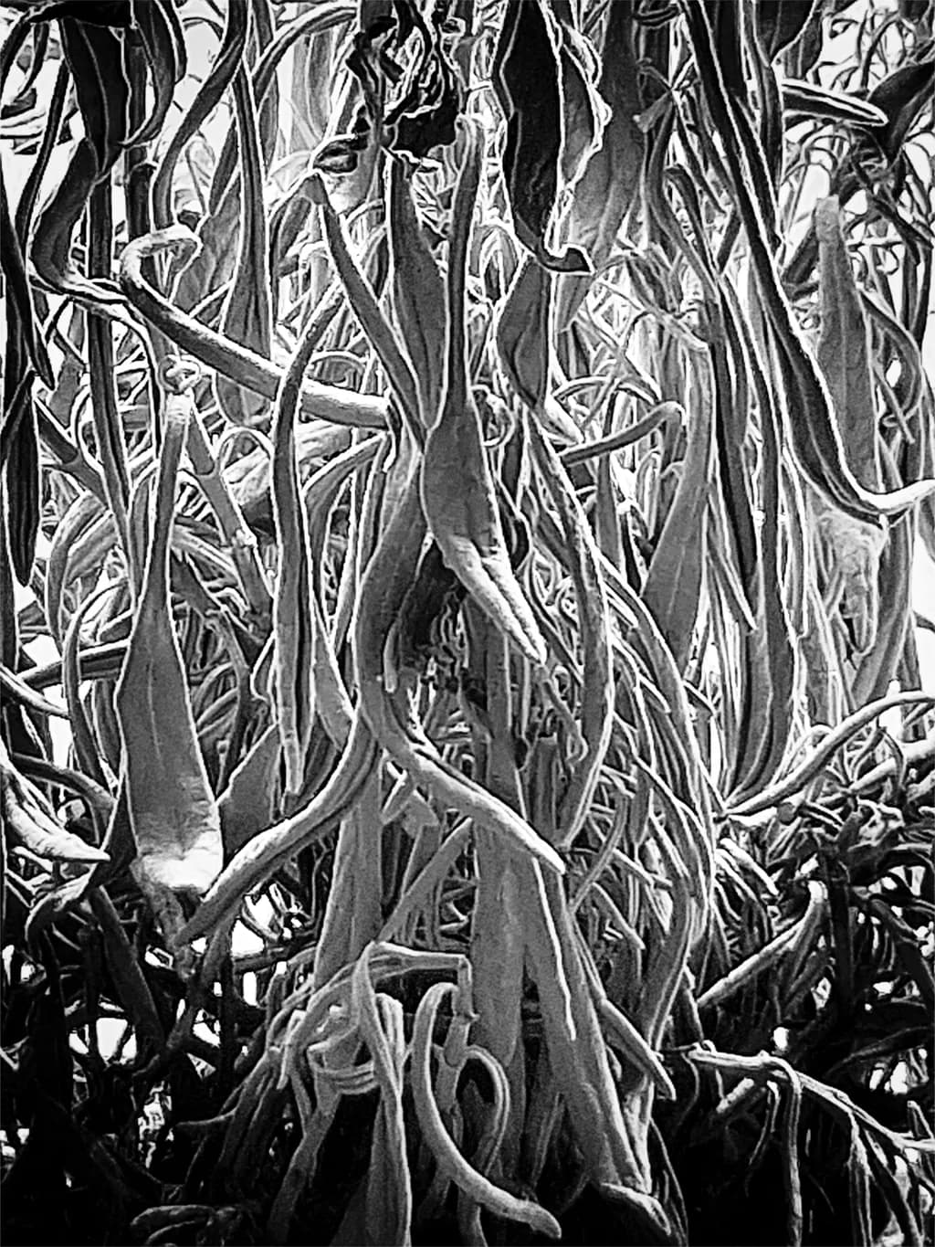 Image du post 1