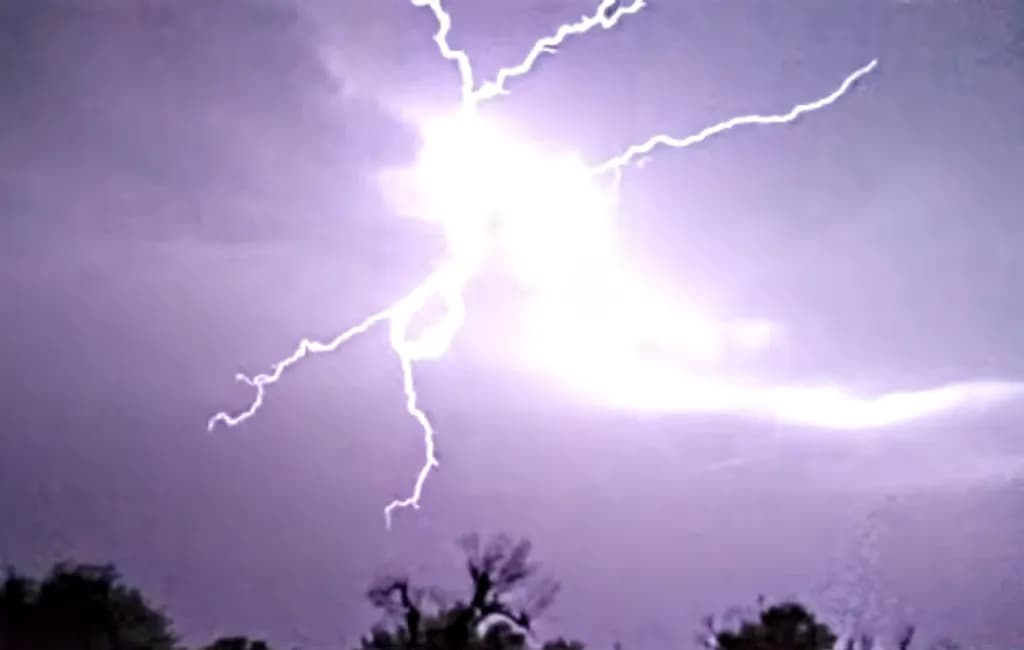 Lightning Storm Over Trees