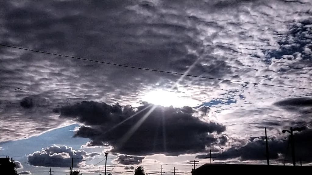 Sunburst Silhouette