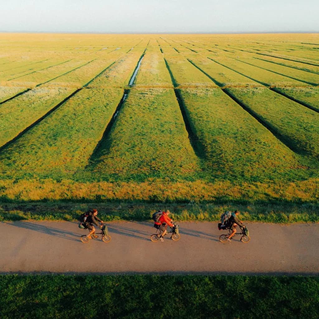 Sunset Pedalers