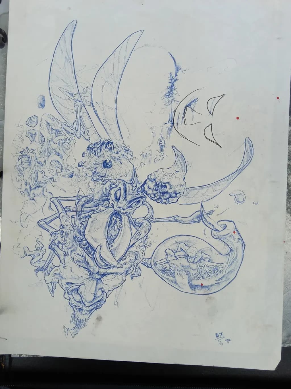 Insect Anatomy Unfiltered