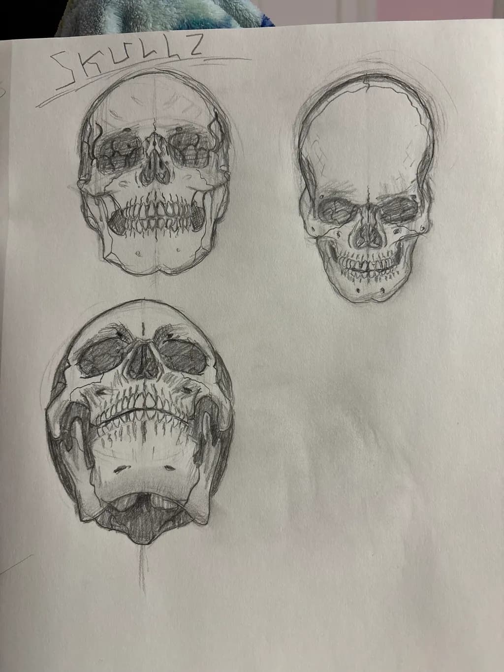 Skullz Study
