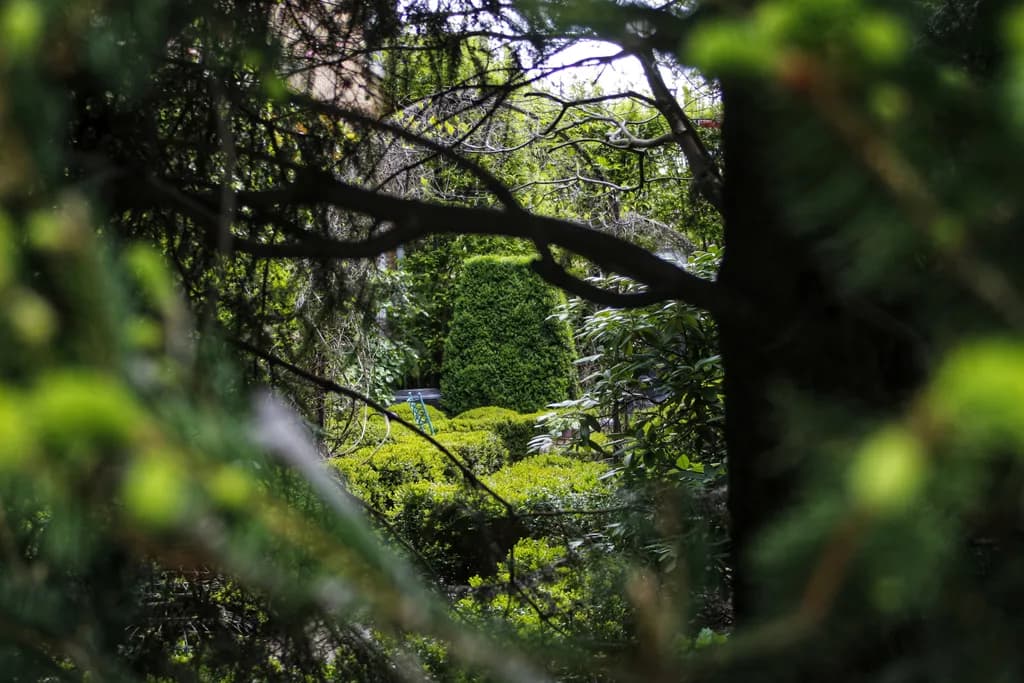 Hidden Garden View