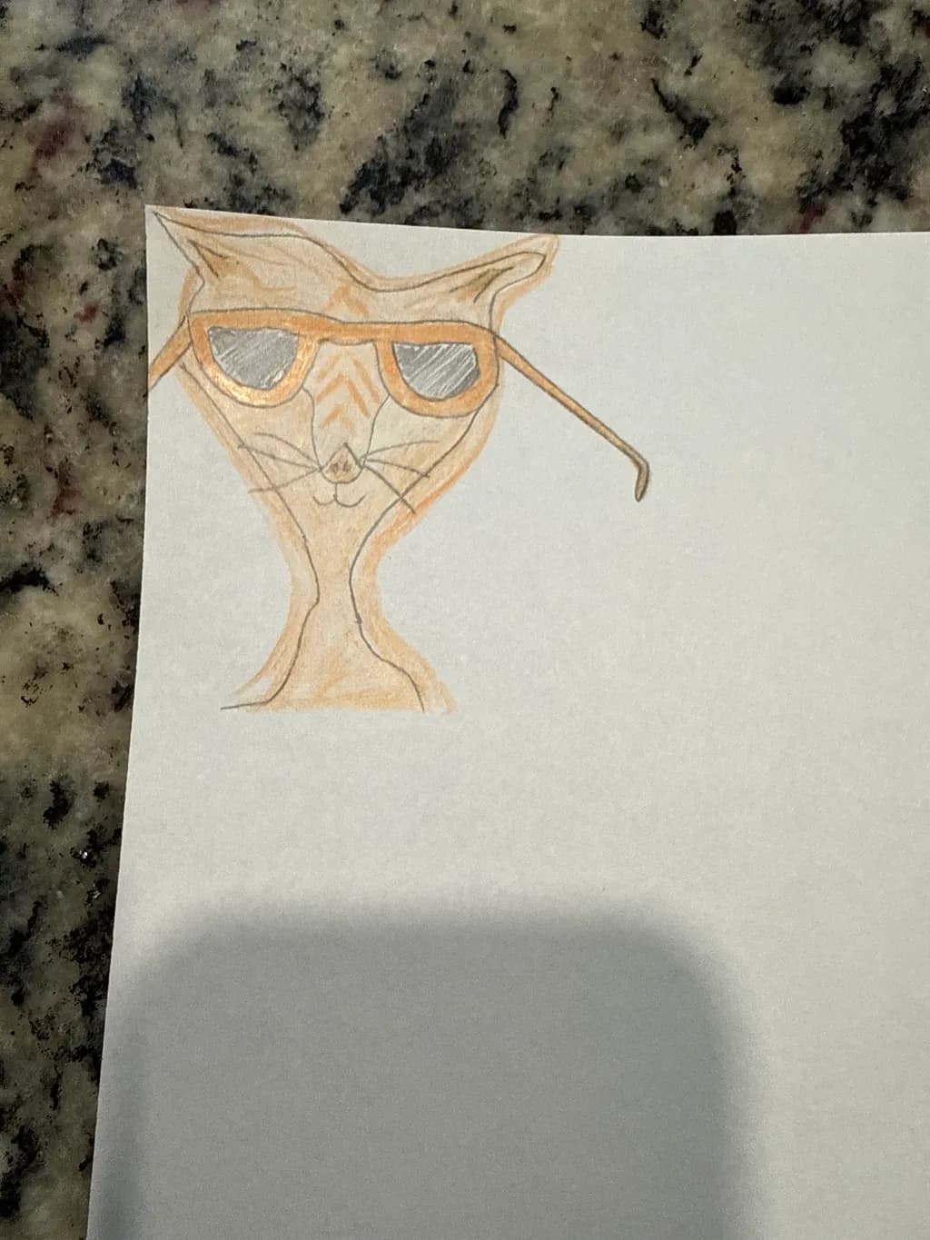 Sunglasses Cat