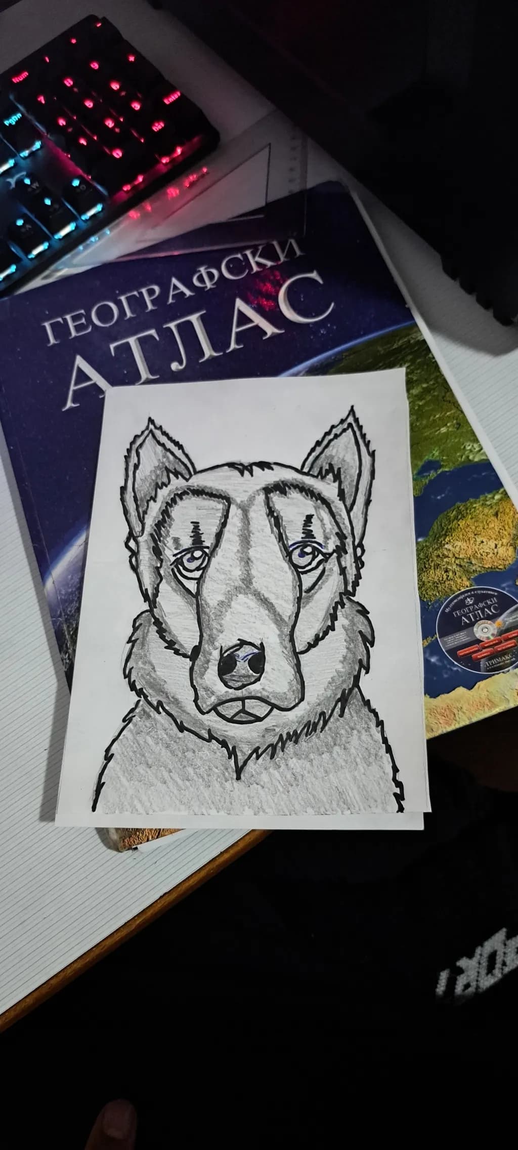 Pensive Wolf