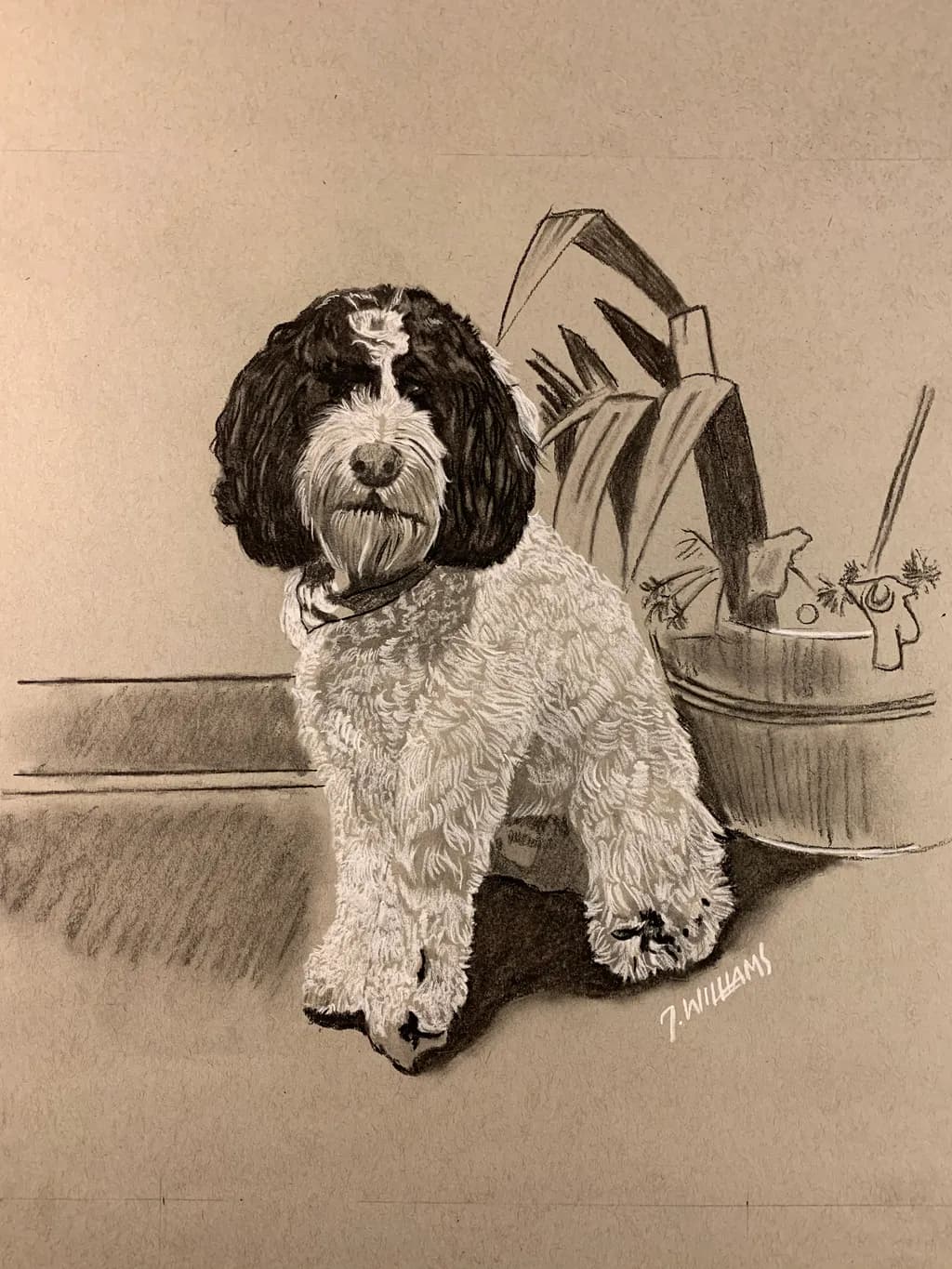 Curly Companion