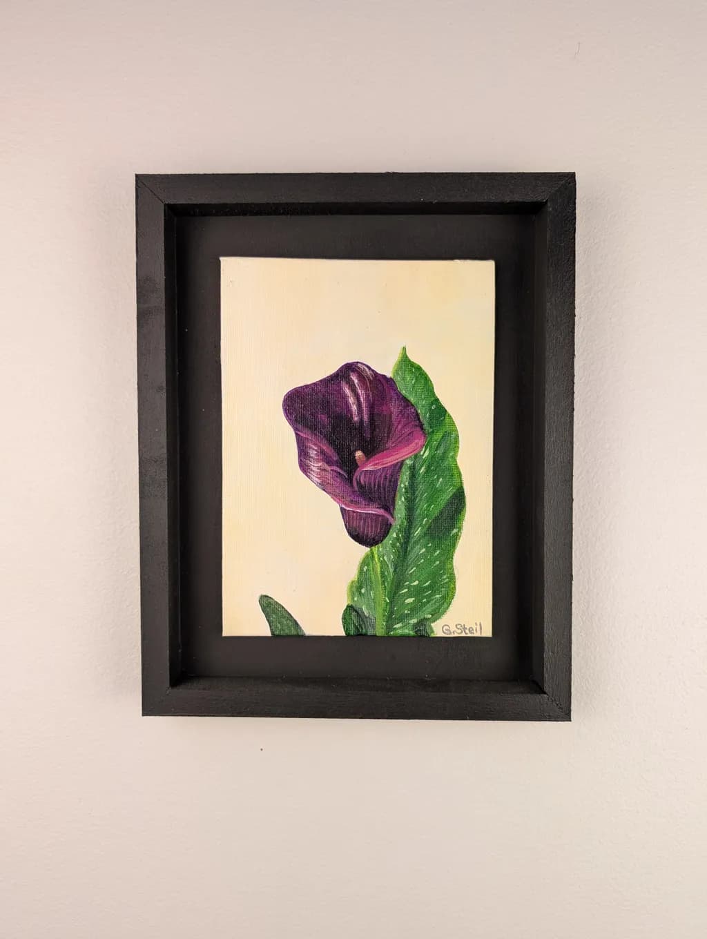 Midnight Calla