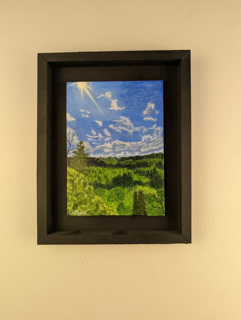 Sunlit Valley