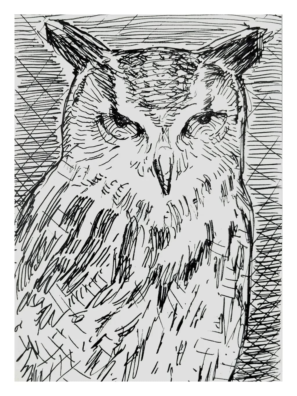 Watchful Gaze
