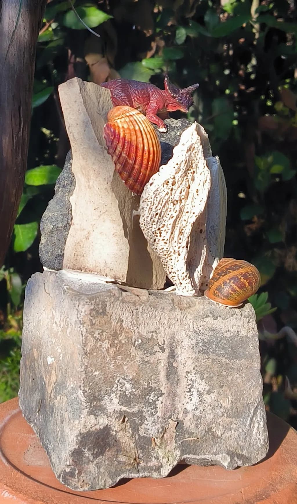 Dinosaur Shellscape