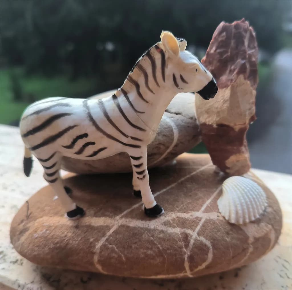Striped Stone Zebra