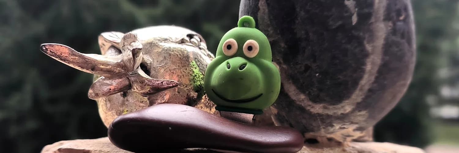 Banner del perfil