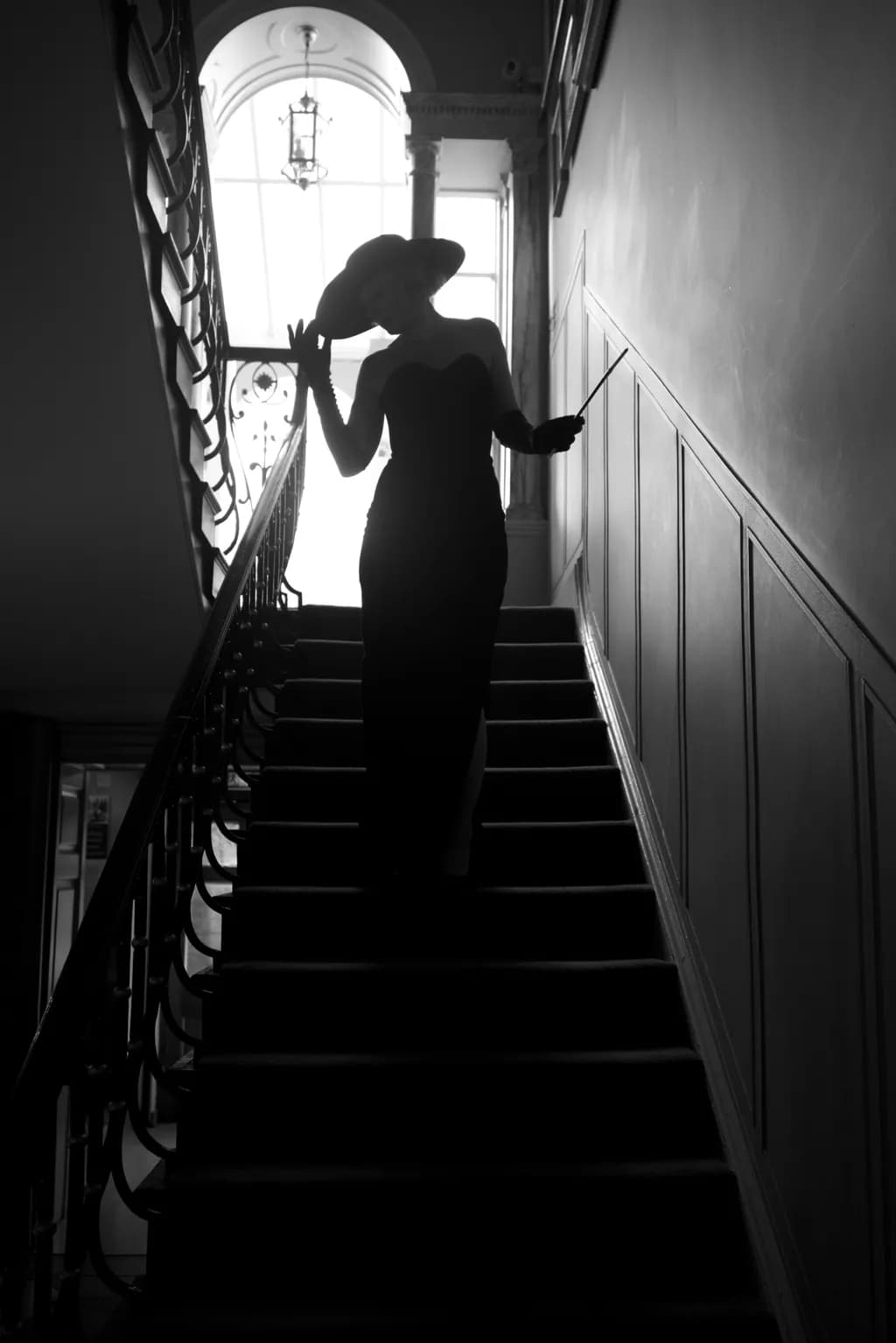 Shadowed Elegance