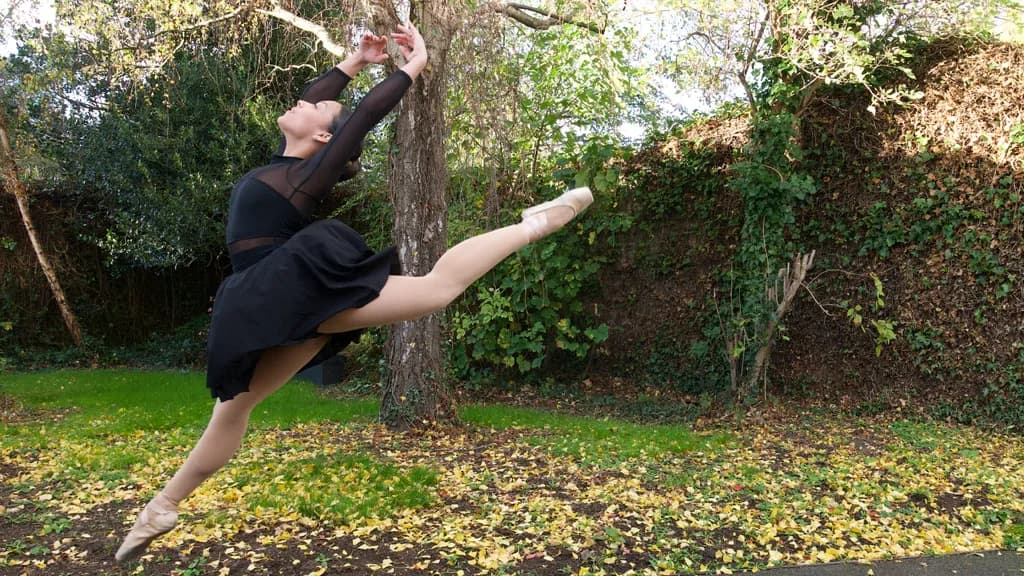 Autumn Leap