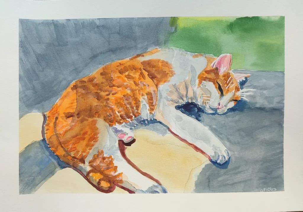 Sunlit Nap