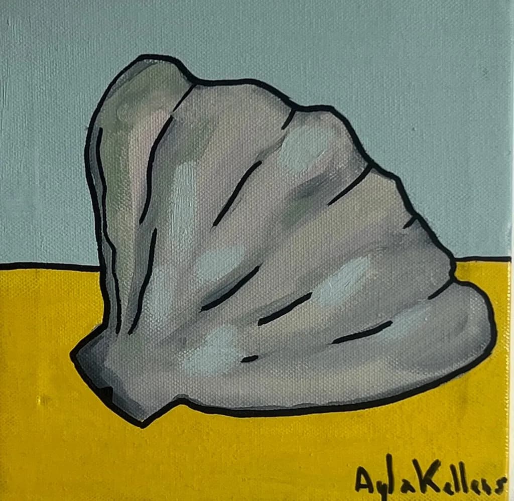 Gray Shell Contrast