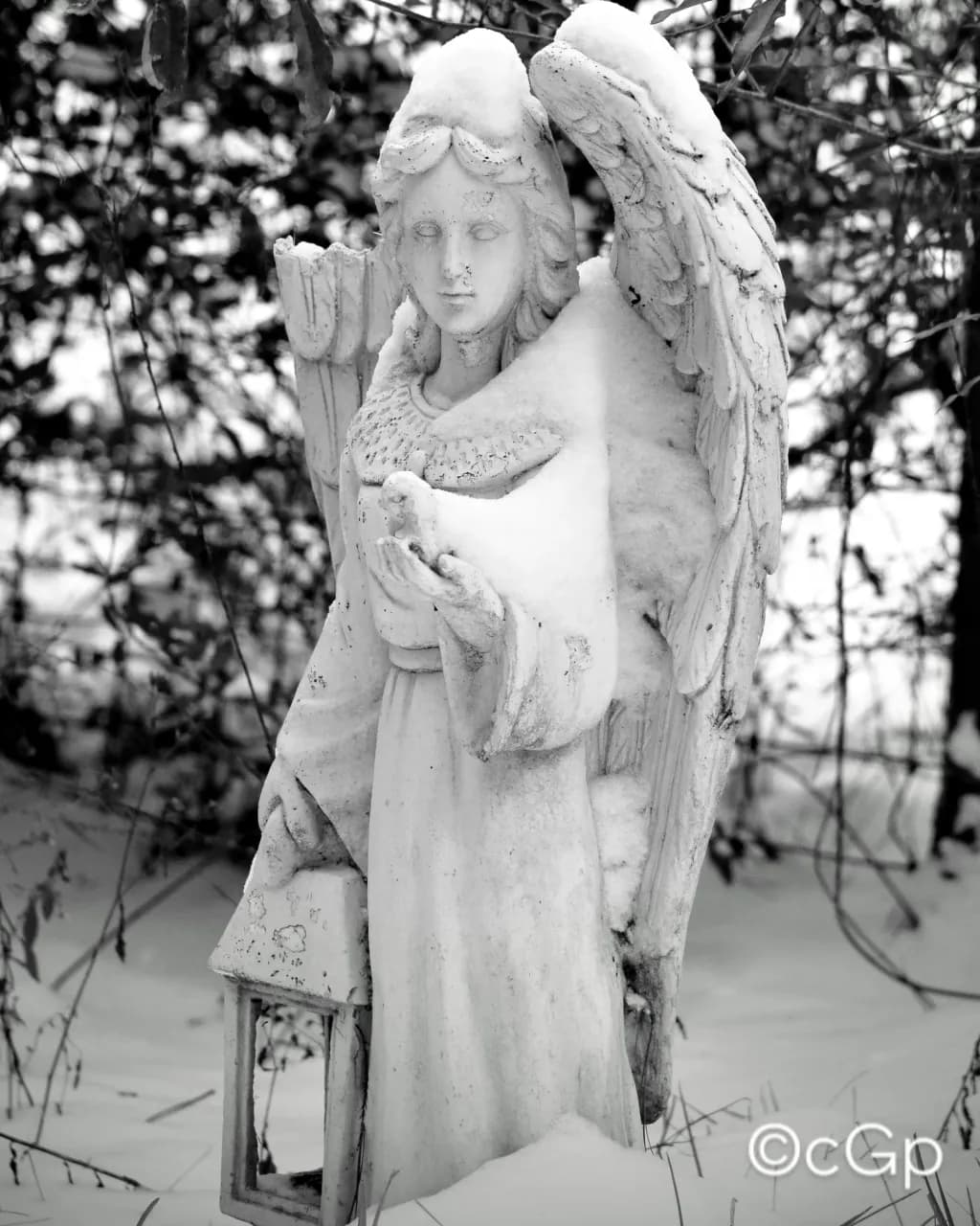 Winter Guardian