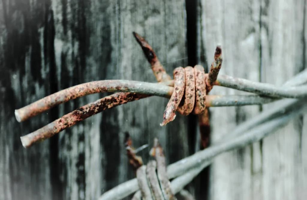 Weathered Barbs