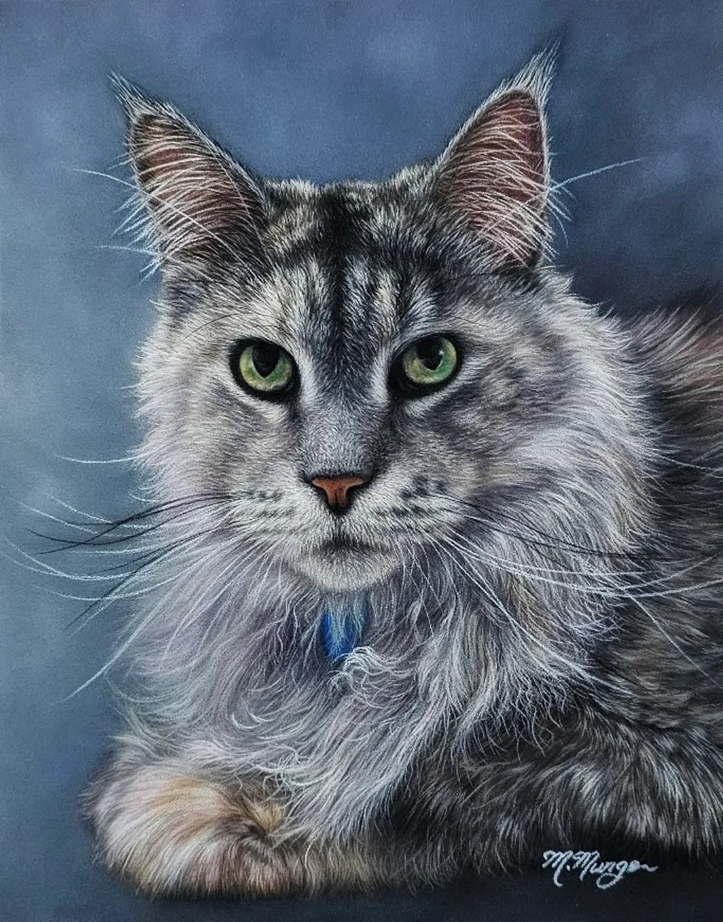 Watchful Maine Coon