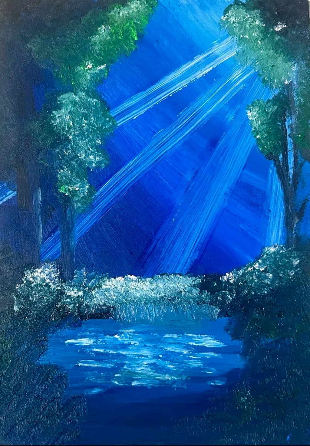 Nocturnal Glade