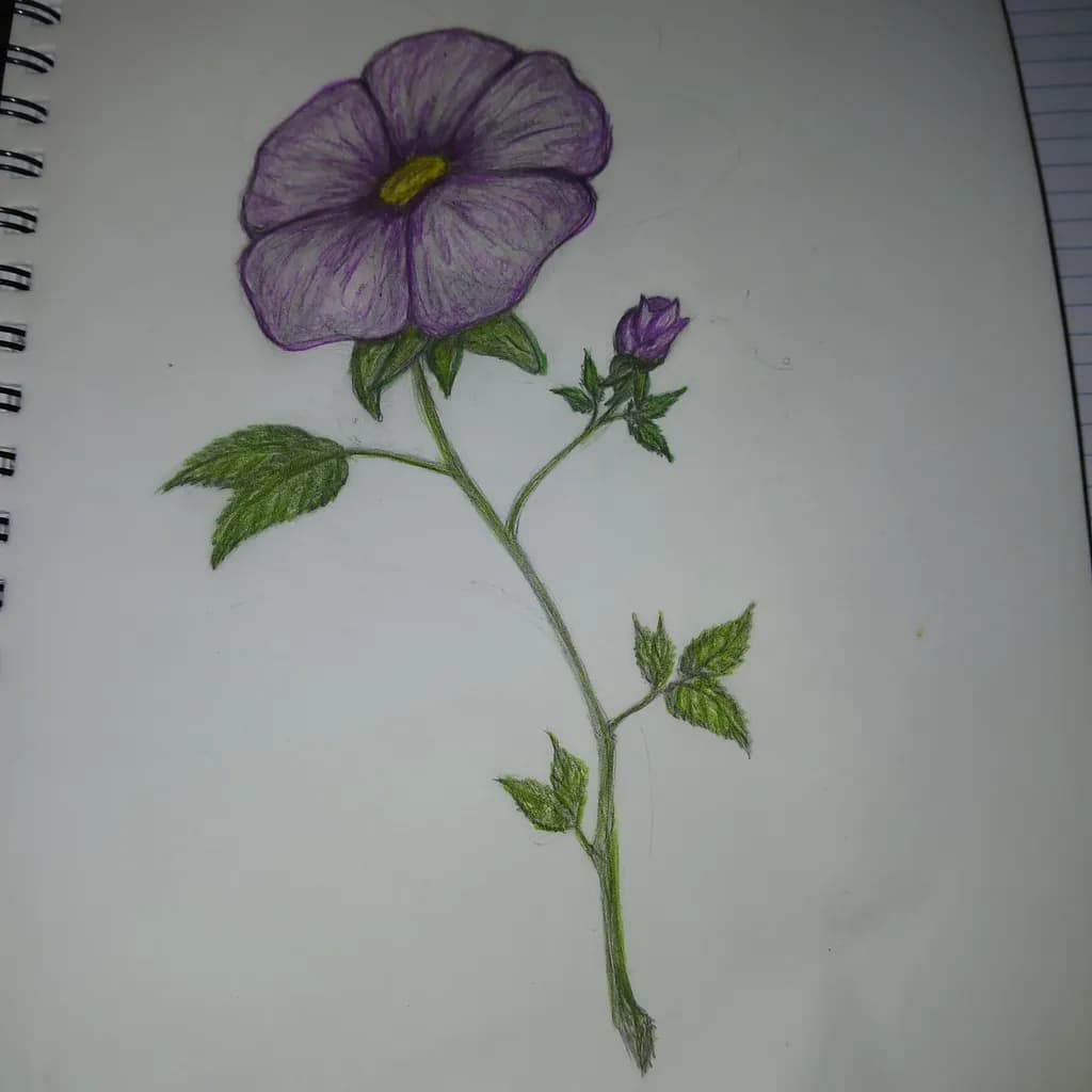 Purple Bloom