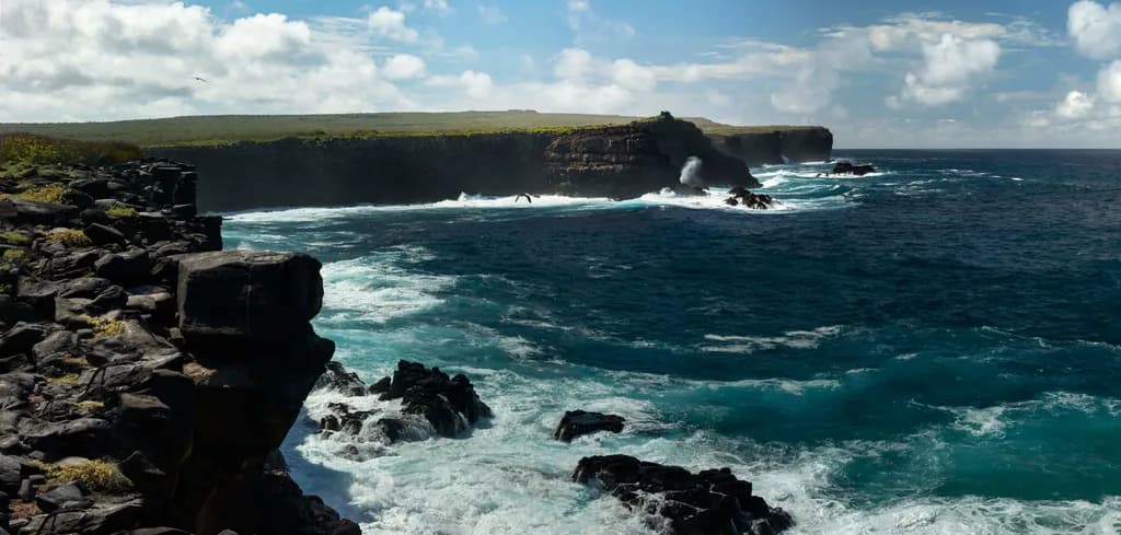 Albatross Cliffs