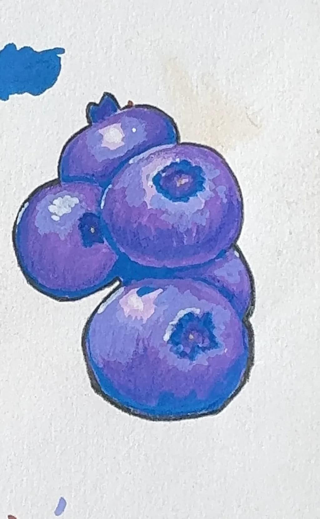 Blueberry Cluster