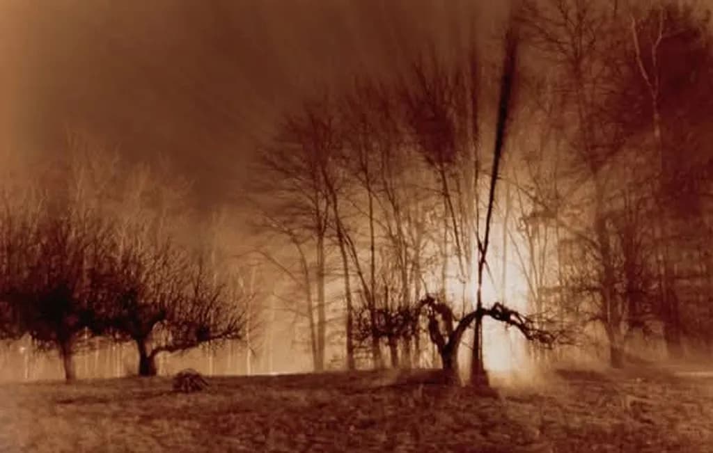 Sepia Grove