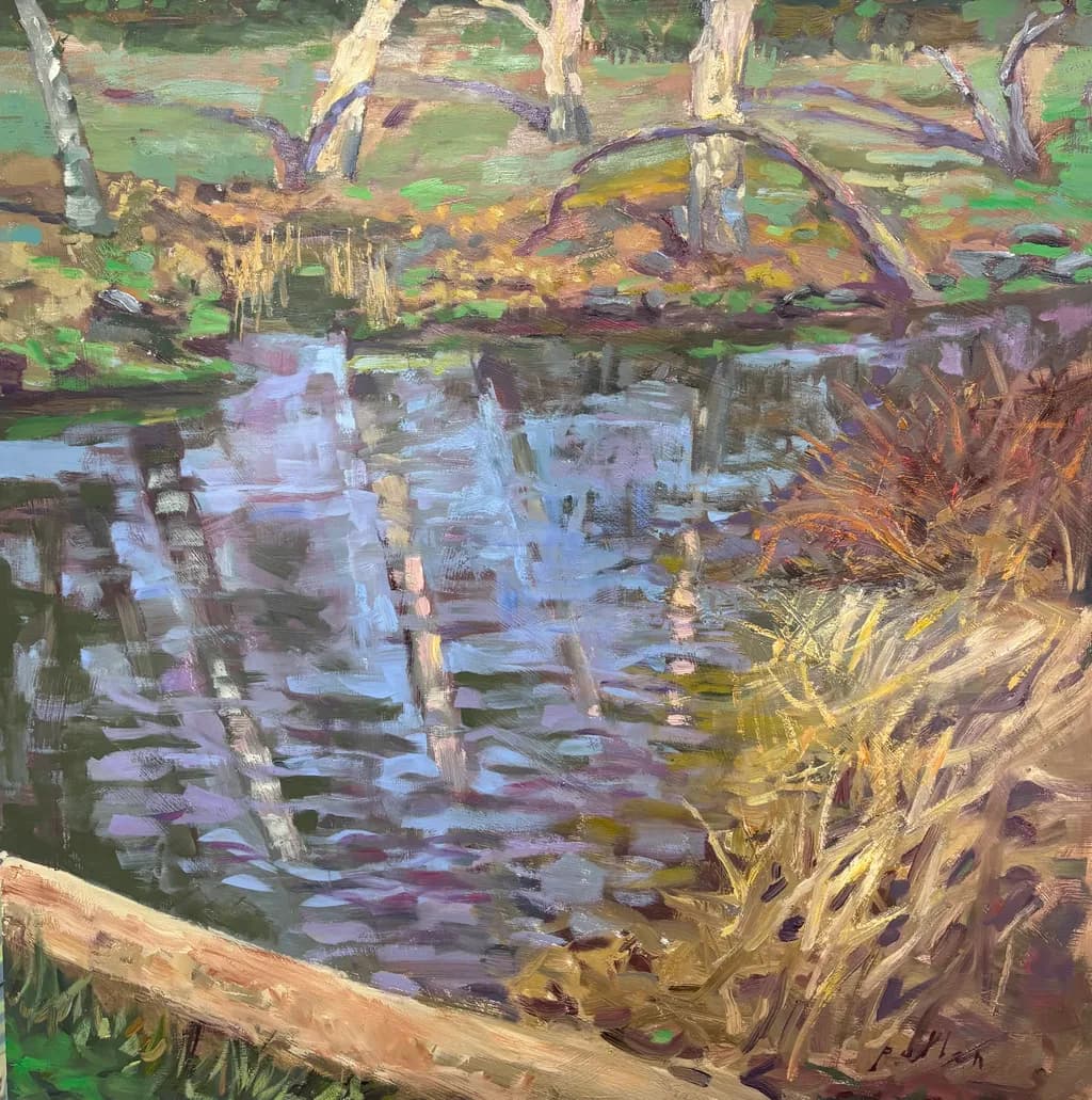 Reflections by the Stream