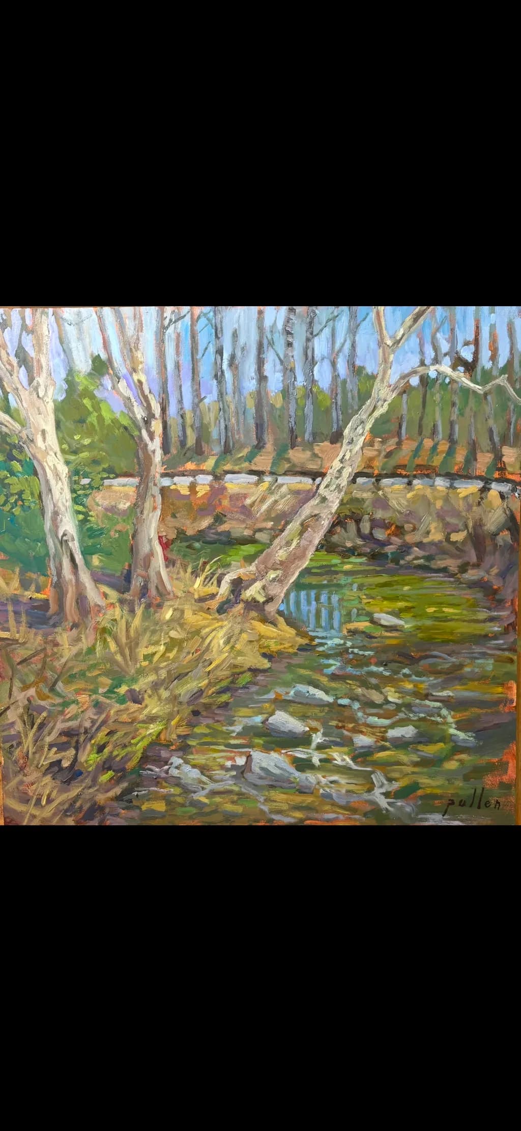 Birch River Bend
