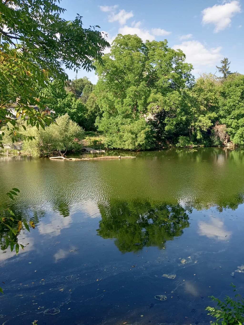 Lakeside Reflection