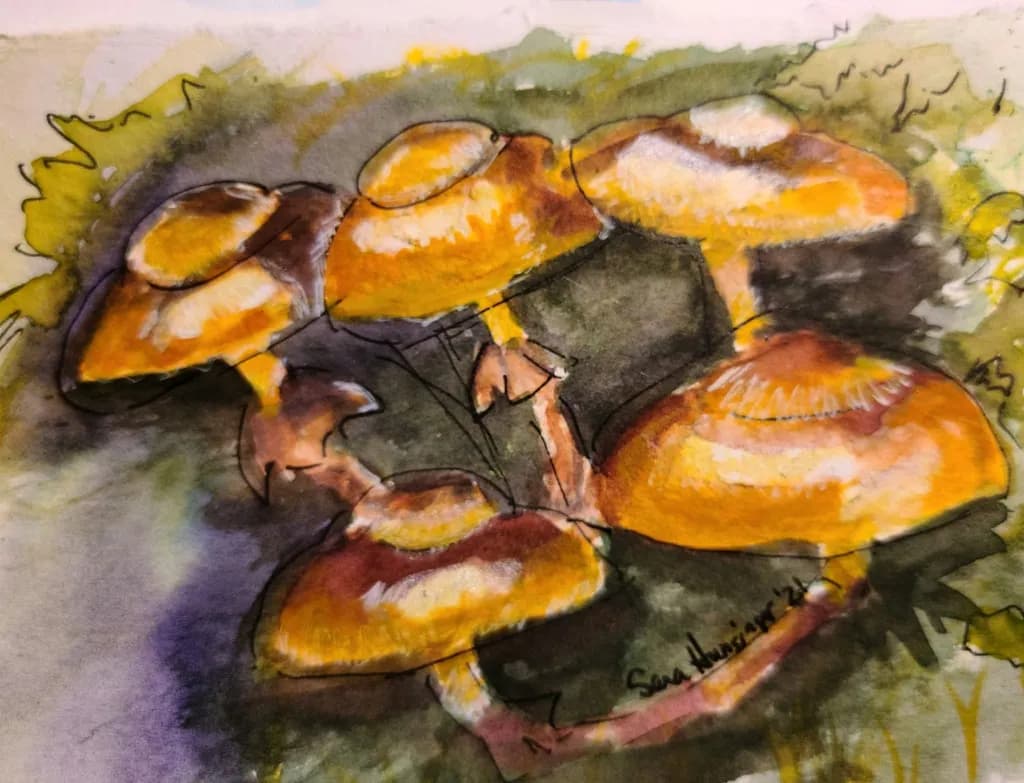 Golden Cluster Mushrooms