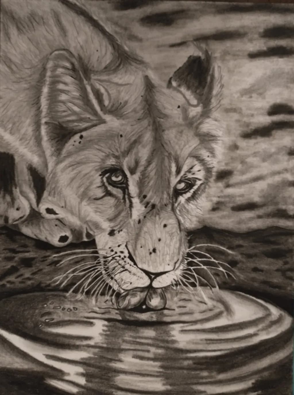 Lioness at the Water
