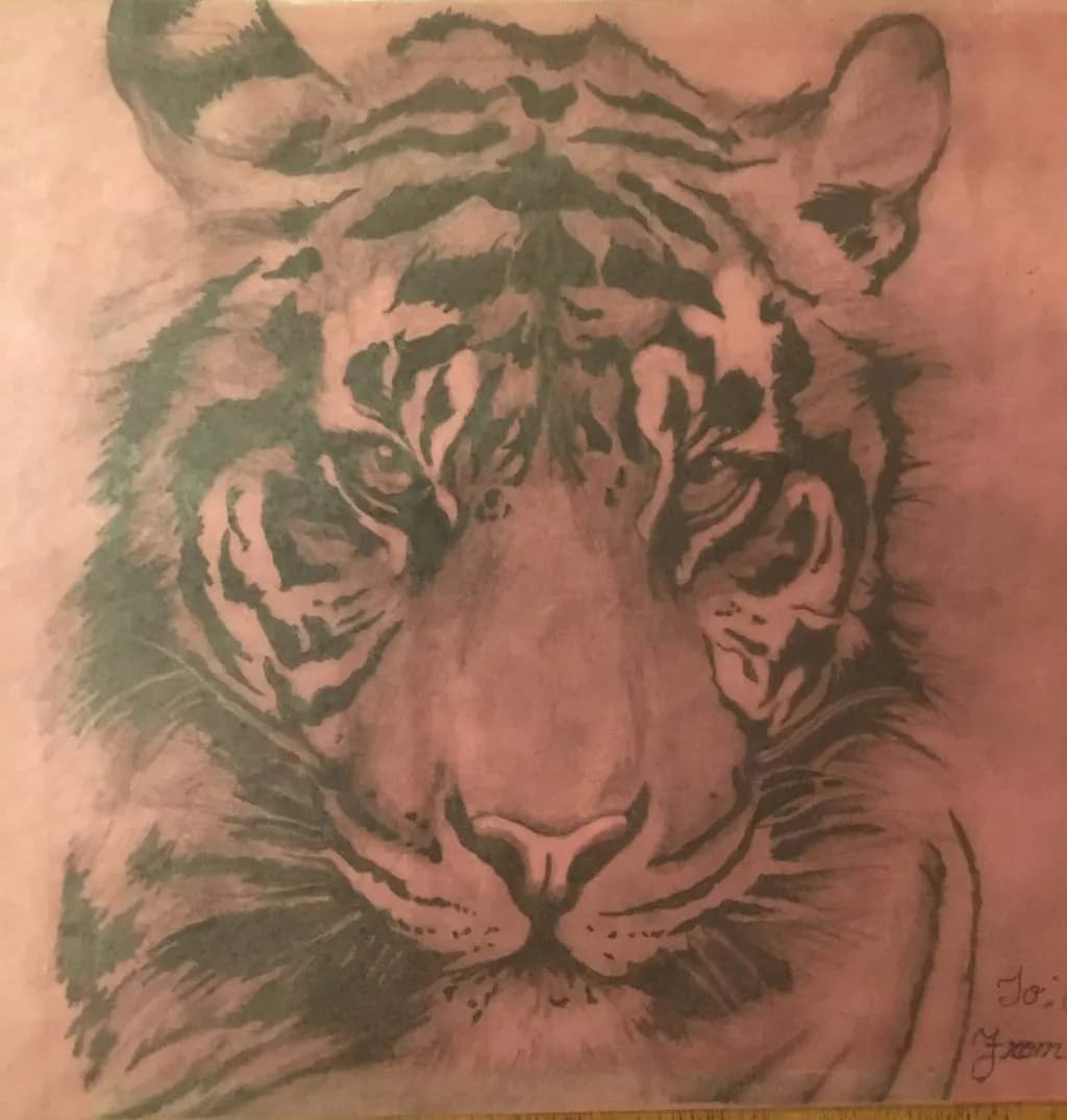Tiger Gaze